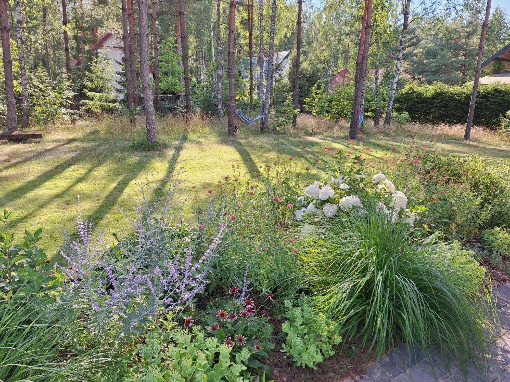 Apartamenty Jezioro I Las Mazury Powalczyn Екстер'єр фото
